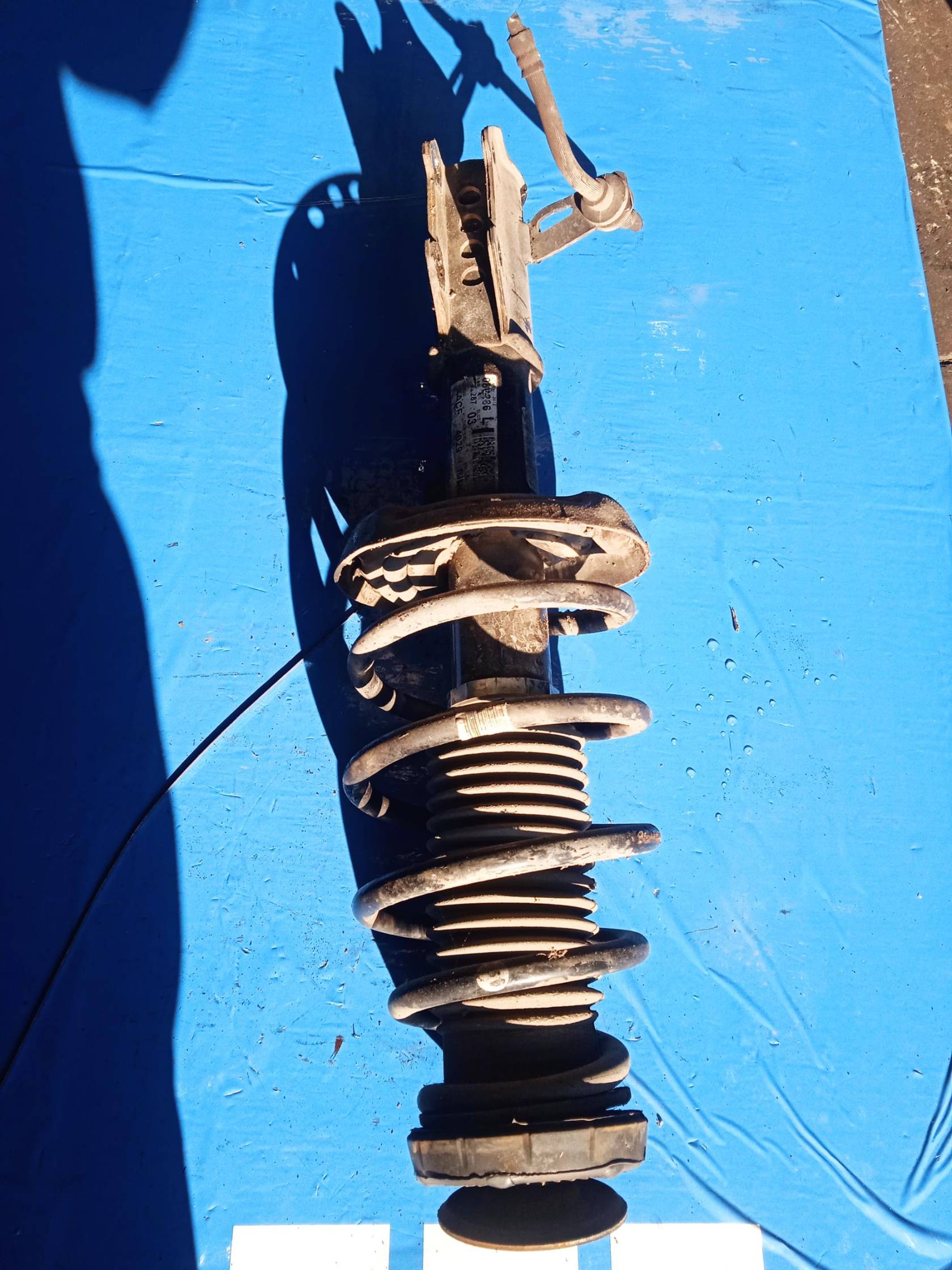 Ammortizzatore ant. sx.